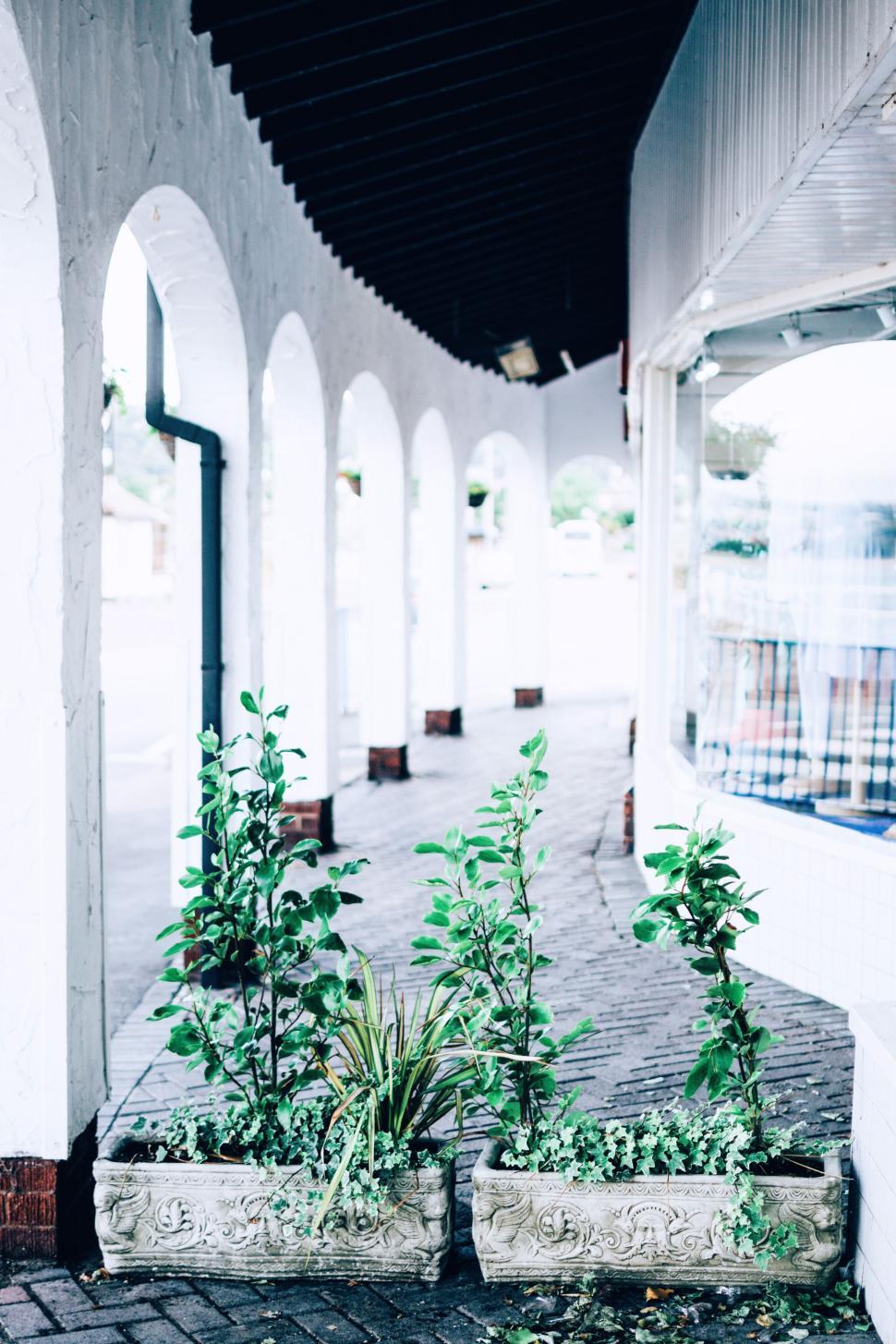 Free Image of Green plants in containers along curved walkway near white arches. 