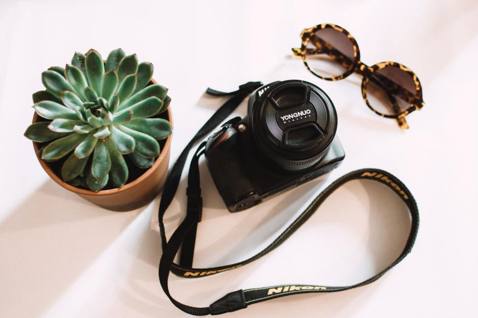 Free Image of Nikon camera, sunglasses, and succulent placed on white surface. 