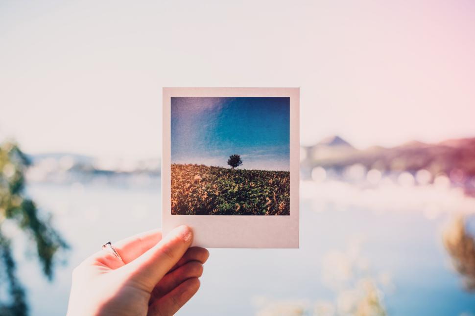 Free Image of Hand holding a polaroid picture of a tree in a scenic landscape 