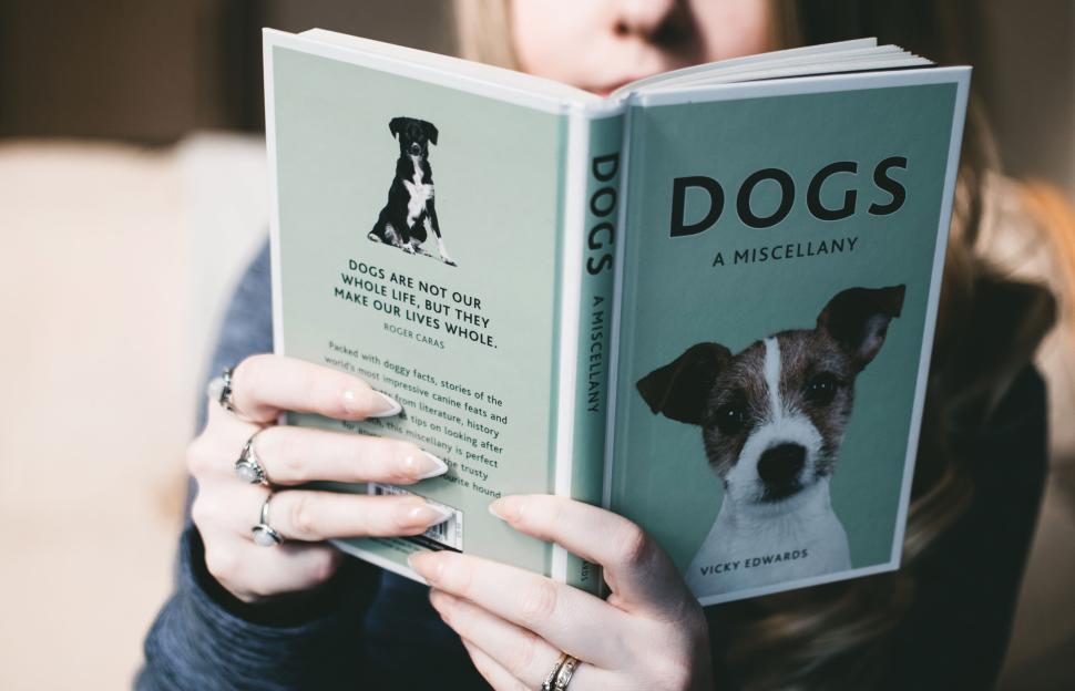Free Image of Person reading a book about dogs with focus on the book cover 
