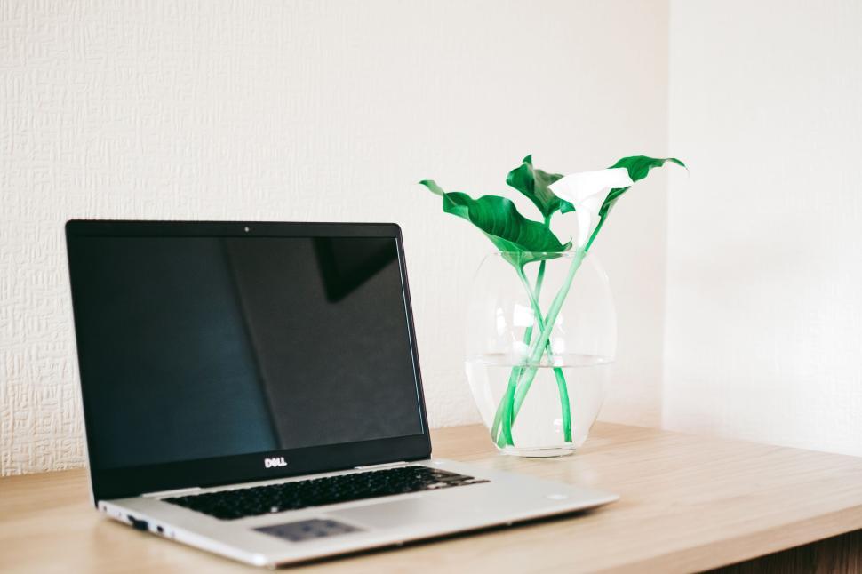 Free Image of Laptop on a wooden desk with a glass vase and green plant. 