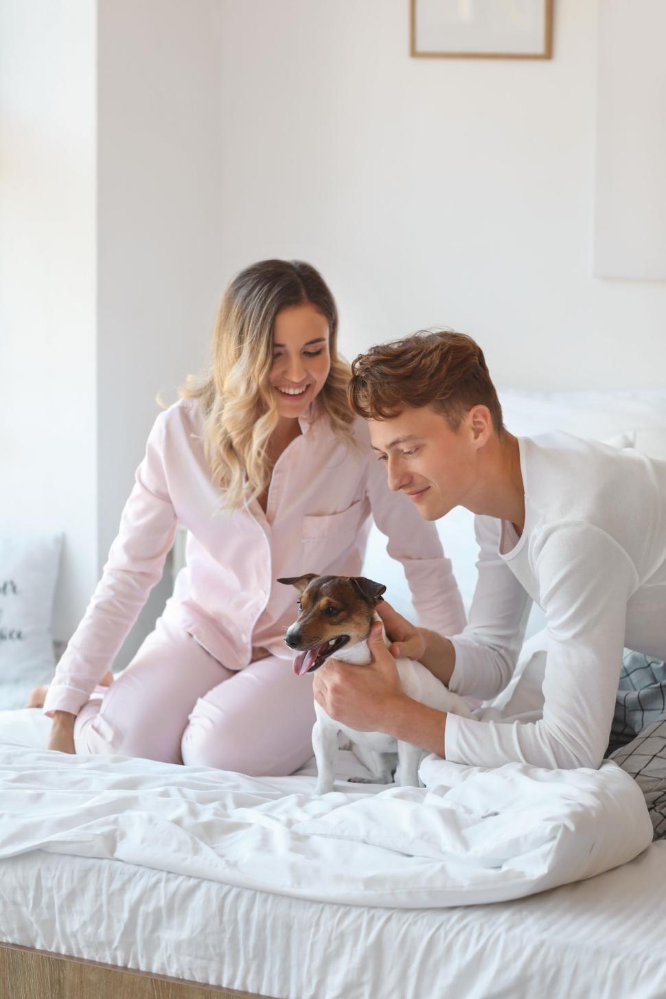 Free Image of Couple petting happy dog on bed in bright, serene bedroom 