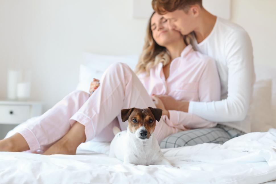 Free Image of Couple in pajamas with a dog, relaxing on a cozy white bed. 