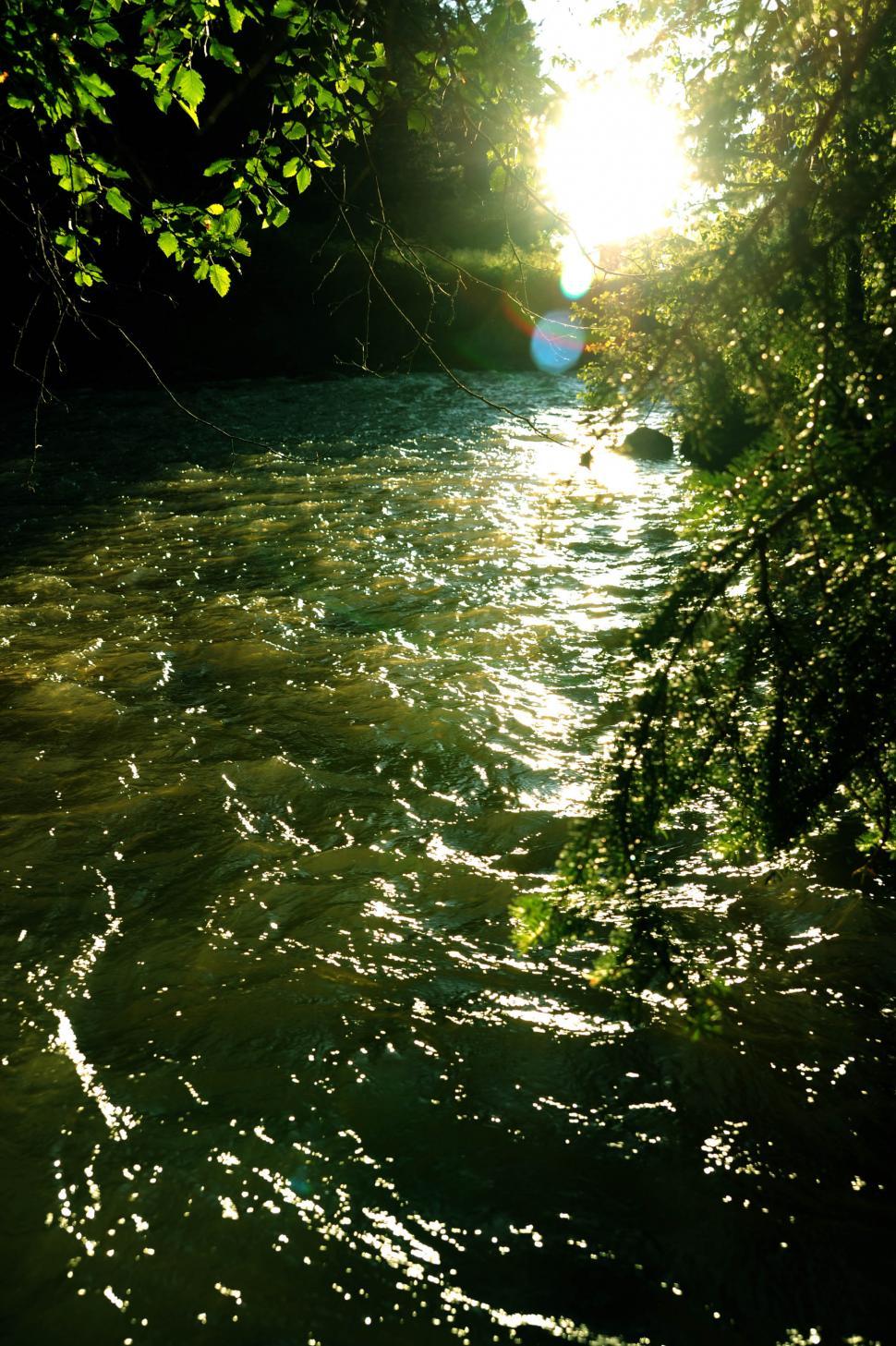 Free Image of River 