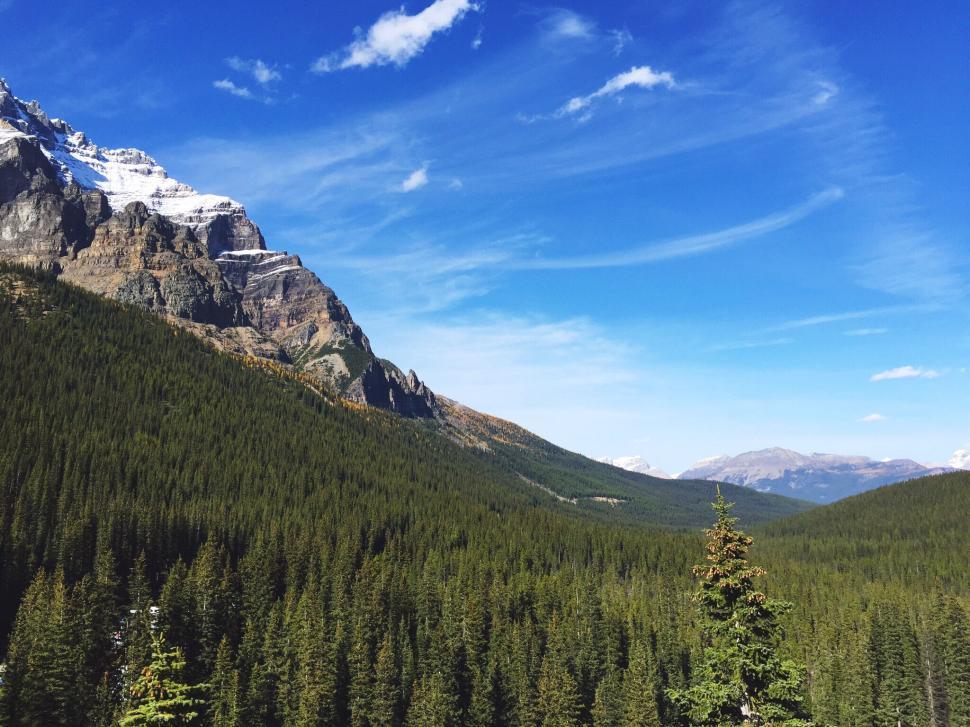 Free Image of Vast forested valley with snow-capped mountains under blue sky 
