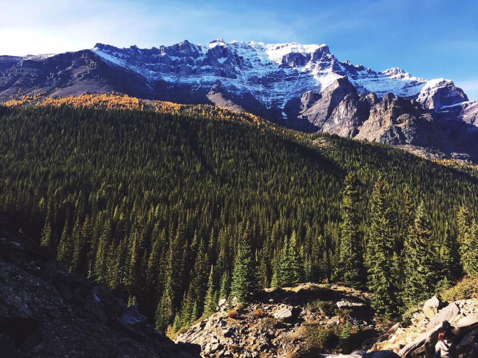 Free Image of Snow-capped mountain range with dense green forest foreground 