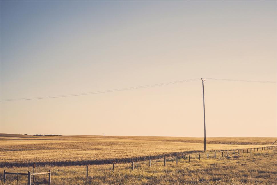 Free Image of Broad expanse of farmland under an open sky with a power line. 