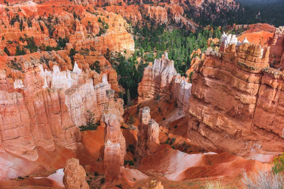 Free Image of Colorful rock formations in a desert landscape with wild greenery. 