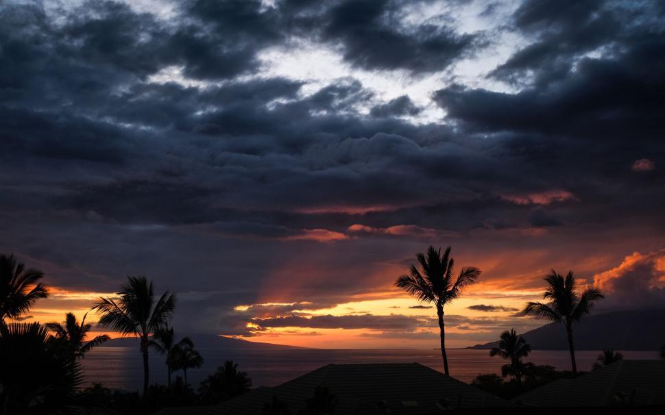 Free Image of Silhouetted palm trees against a dramatic sunset sky and ocean 