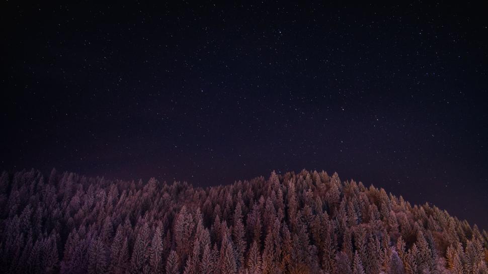 Free Image of Starry night sky over a forested mountain landscape 