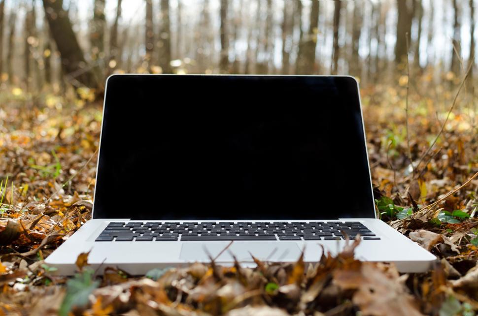Free Image of Laptop on forest floor surrounded by fallen leaves in outdoor setting. 