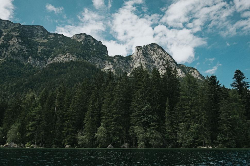 Free Image of Majestic mountains behind dense evergreen forest under blue sky 