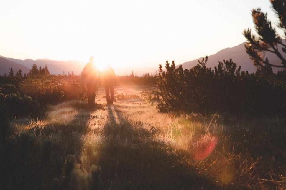 Free Image of Two people walking towards the sunset in a field with trees nearby. 