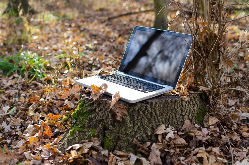 Free Image of Laptop on a tree stump surrounded by autumn leaves in the forest 