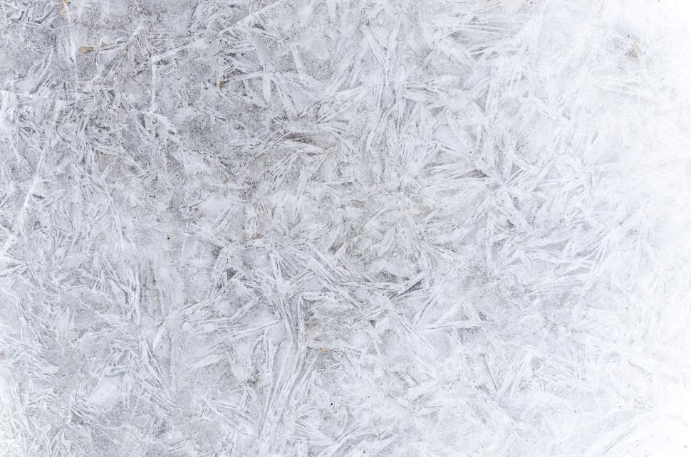 Free Image of Detailed frosted surface texture with intricate icy patterns. 