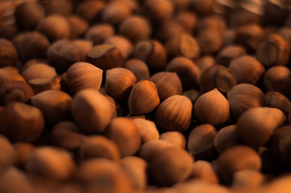 Free Image of Close-up of hazelnuts with a blurry background 