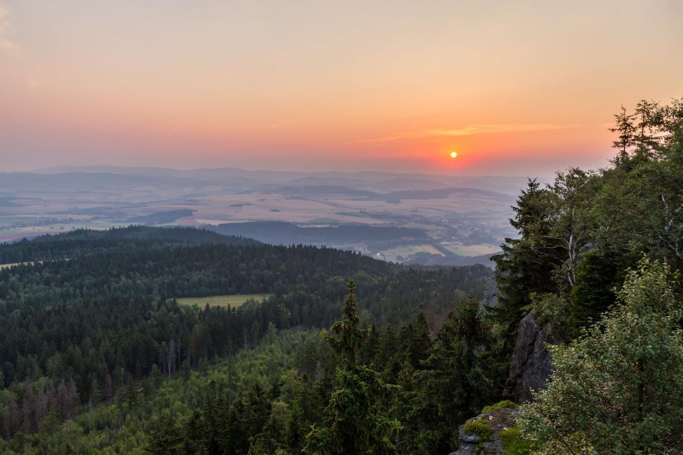Free Image of Panoramic view of lush green forest complemented with a sunset horizon 