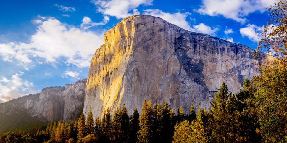 Free Image of Sunny view of El Capitan rock formation with lush forest below 