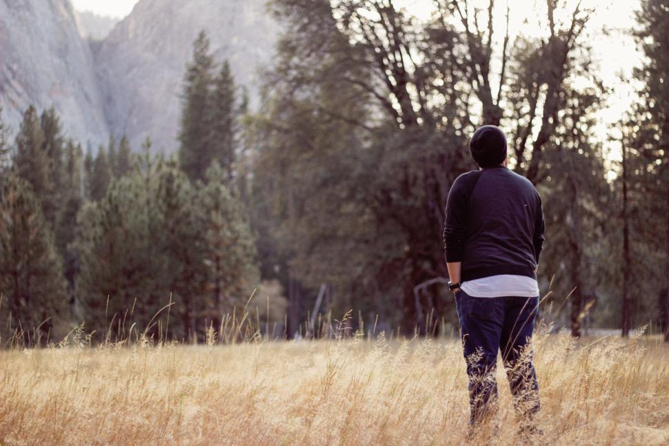 Free Image of Person gazing at scenic forest clearing with mountains in view 