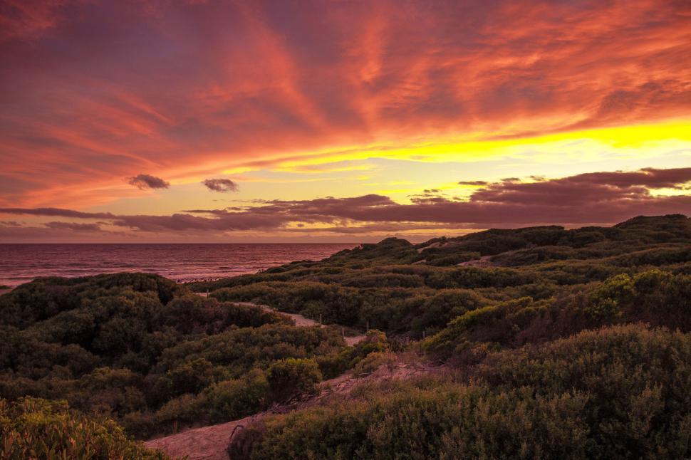 Free Image of Vibrant sunset landscape over lush coastal greenery at the beach 