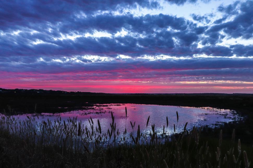 Free Image of Serene twilight reflecting in calm water amid tall reed plants 