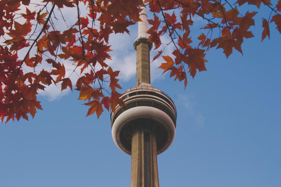 Free Image of Iconic tower framed by autumn leaves against bright blue sky 