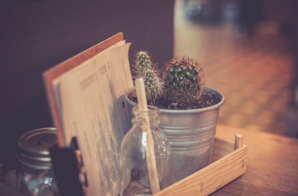 Free Image of A cactus arrangement in a tin pot decorates a rustic office space. 