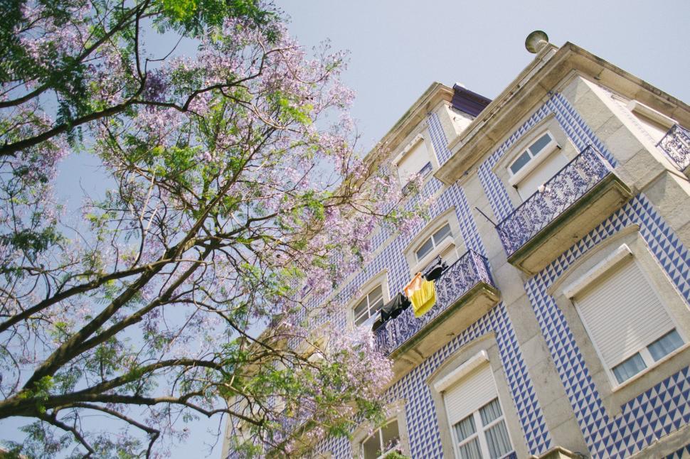 Free Image of Facade of a building with purple flowers and vibrant blue tiles. 