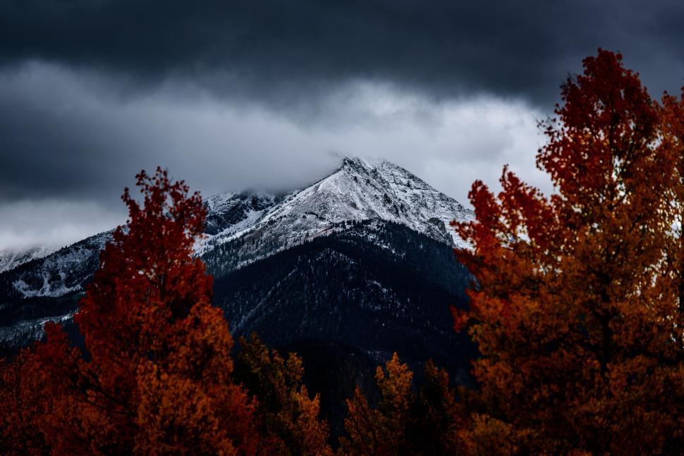 Free Image of Autumn trees frame snow-covered mountain peak 