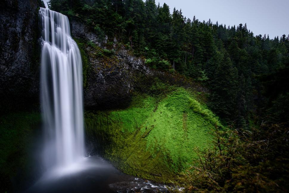 Free Image of Serene waterfall cascading in lush green forest 
