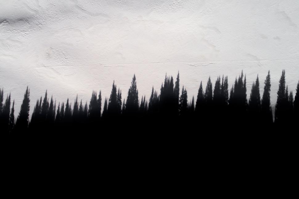 Free Image of Silhouetted forest trees against a snowy backdrop 