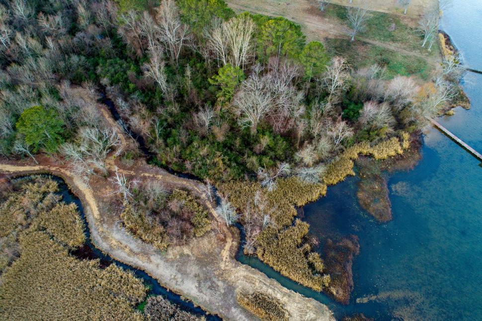 Free Image of Aerial view of forested shoreline beside clear water 