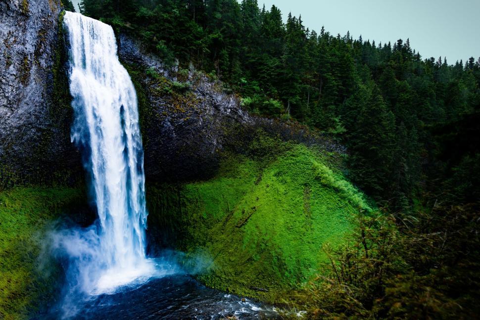 Free Image of Breathtaking waterfall cascading in lush green forest 