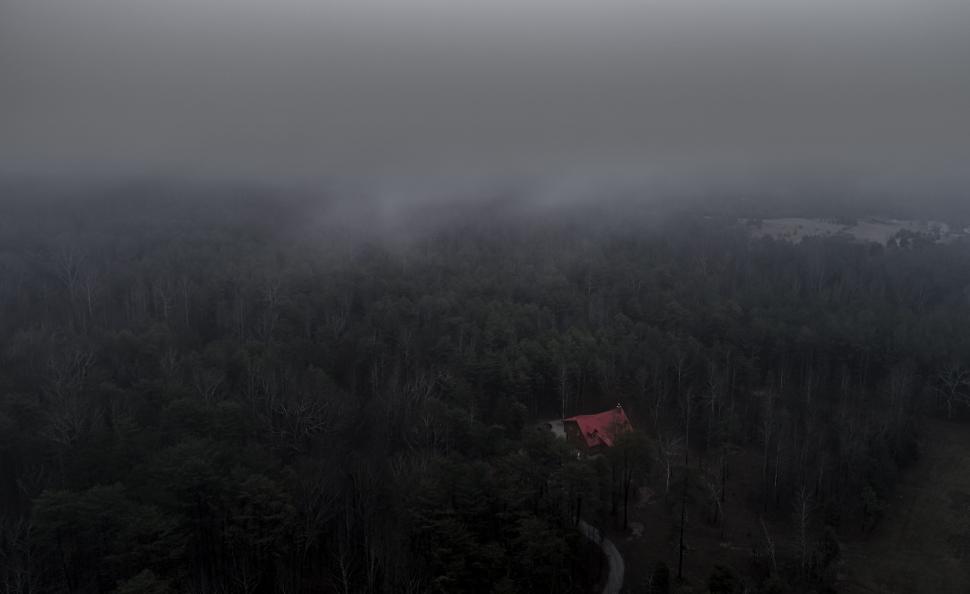 Free Image of Foggy forest landscape with a hidden house below fog. 