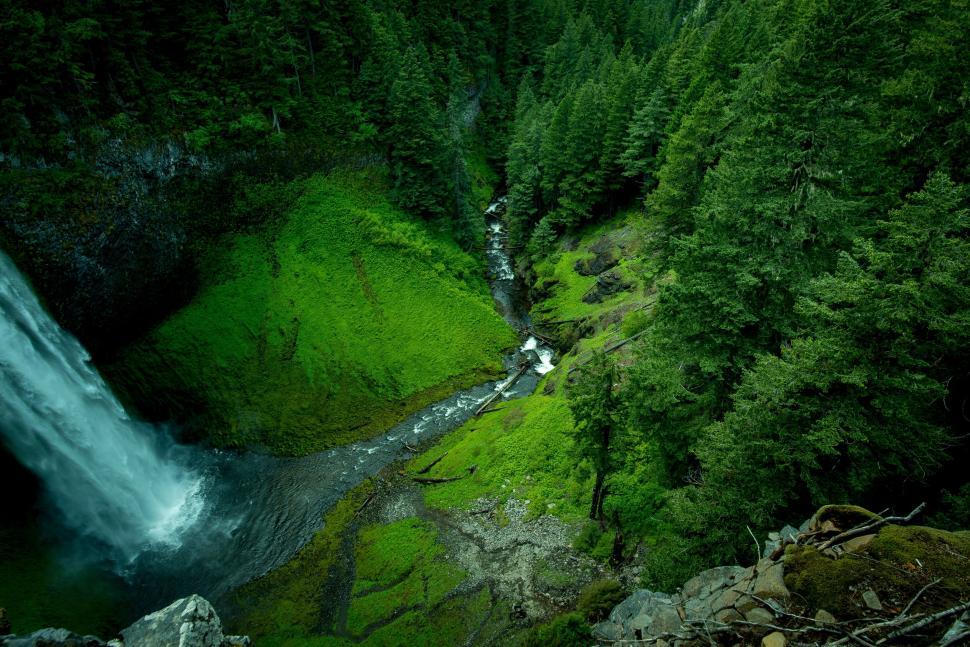 Free Image of Lush vibrant forest waterfall and stream scenic view. 