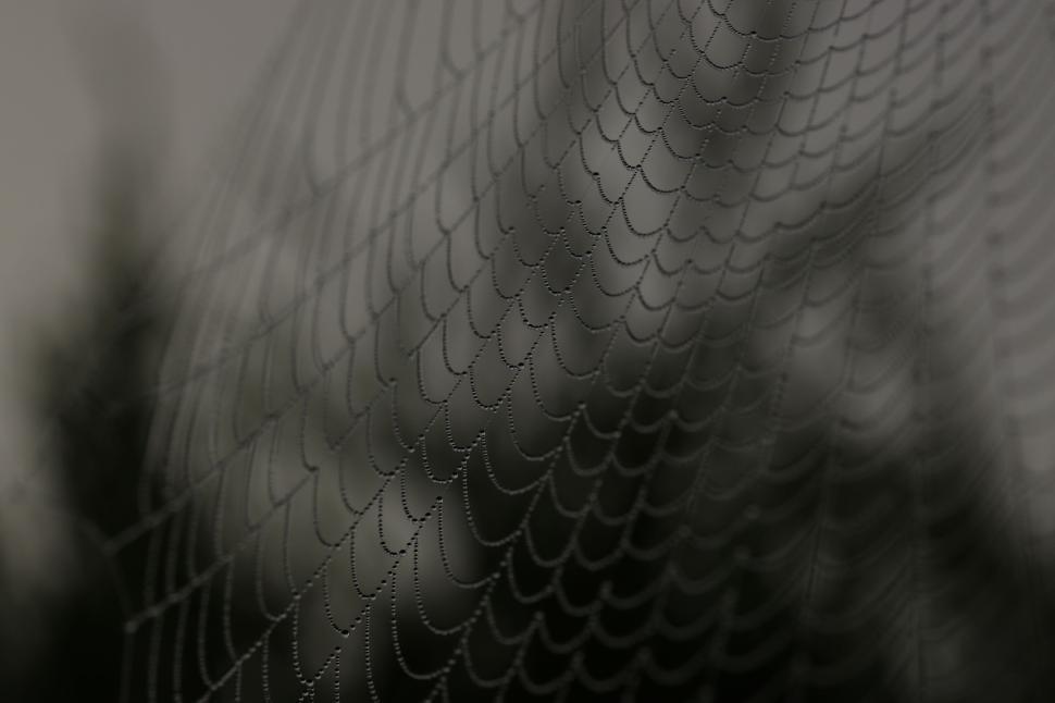 Free Image of Close-up image of wet spiderweb with dew drops in low light 