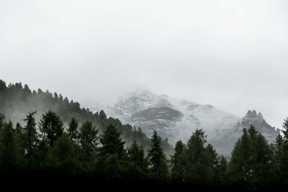 Free Image of Snowy peak midst forest with mist under a cloudy gray sky 