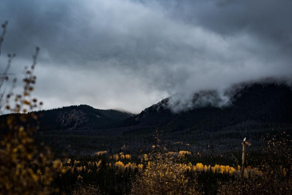 Free Image of Mountainous forest with dense clouds and golden foliage. 