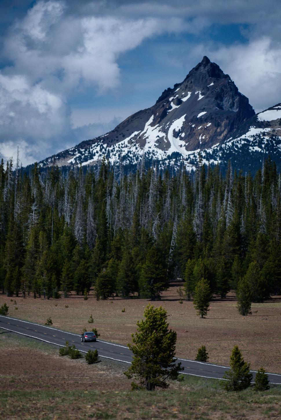 Free Image of Sharp Mountain Peak Looming Over Pine Forest 