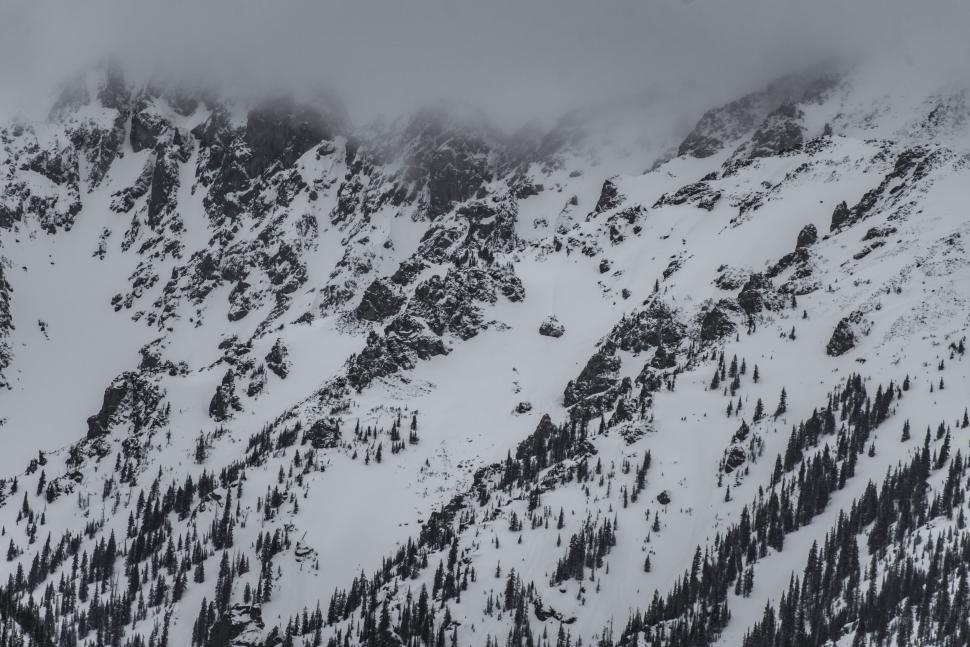 Free Image of Snow-covered mountain with pine trees under cloudy skies. 