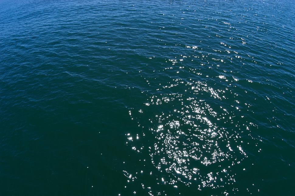 Free Image of A vast ocean with rippling waves reflecting sunlight. 