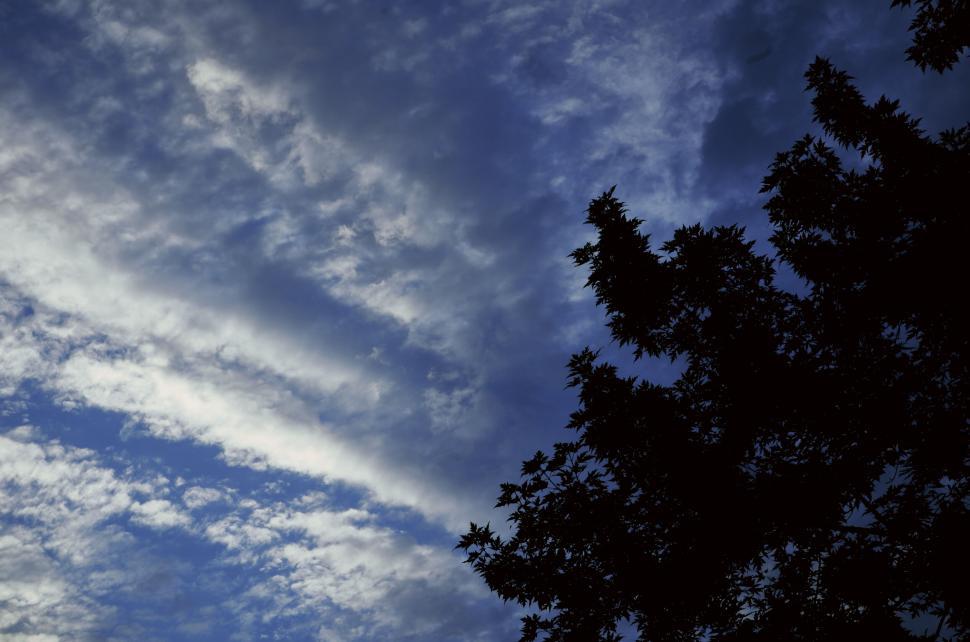 Free Image of Dramatic sky with clouds and silhouette of tree. 