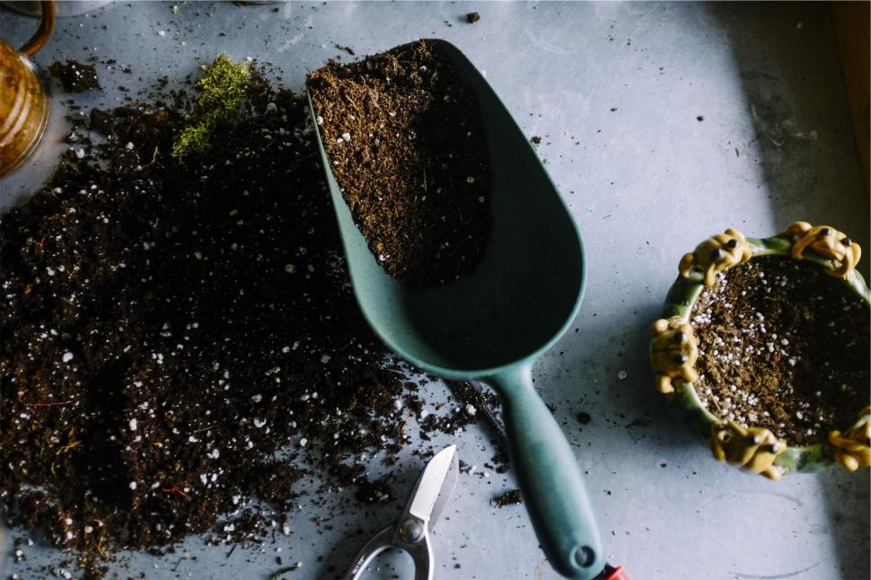 Free Image of Gardening tools and soil prepared for planting project. 