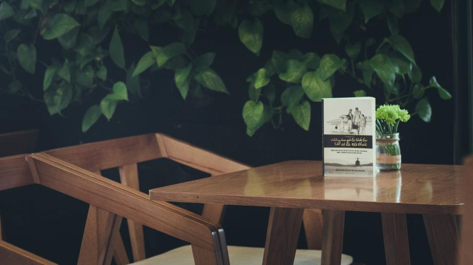 Free Image of Wooden table with plant in cozy and modern cafe 