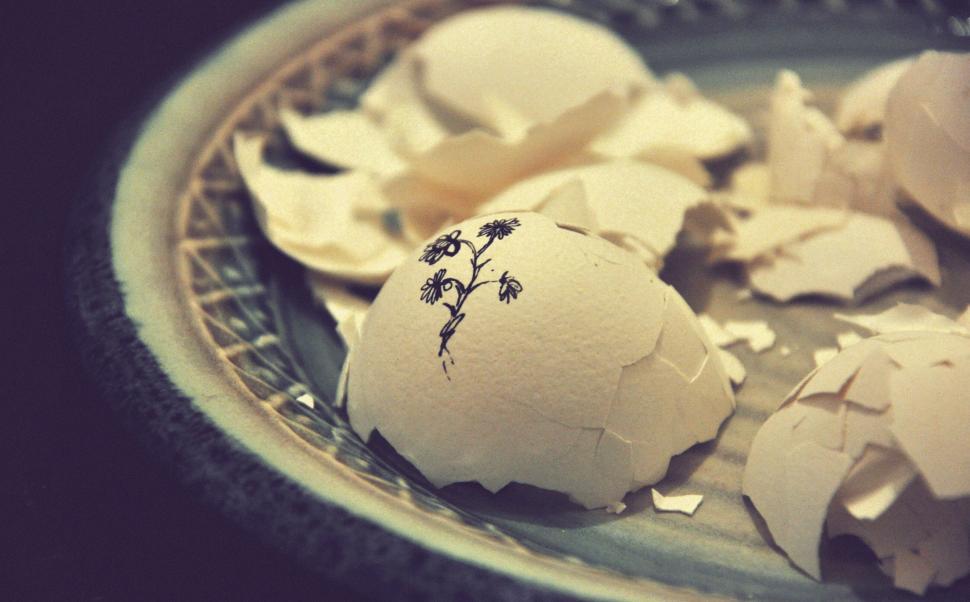 Free Image of Broken egg shells with a painted flower on a plate 