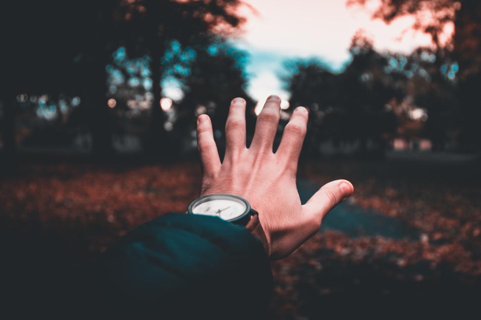 Free Image of Hand reaching out towards a blurry autumn background. 