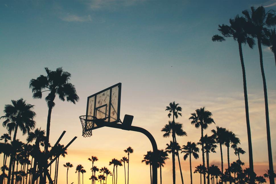 Free Image of Basketball hoop at sunset with palm trees in background. 