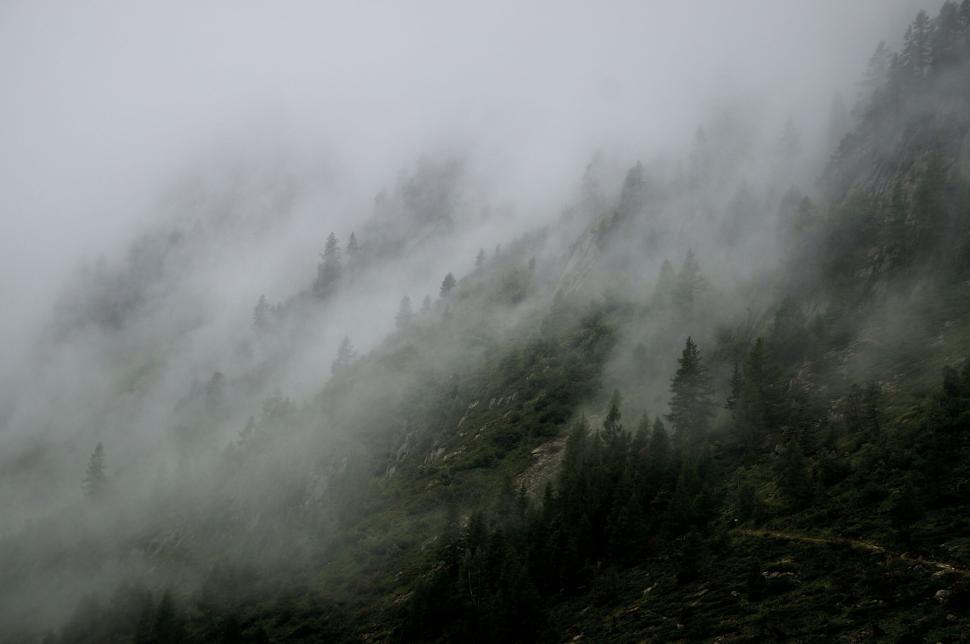 Free Image of Fog enveloping the forested mountain landscape. 