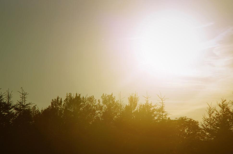 Free Image of Sunrise with light glowing above forest treeline. 