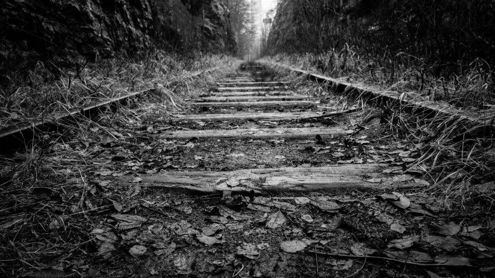 Free Image of Black and white photo of abandoned railway tracks. 